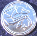 Sirius Talisman