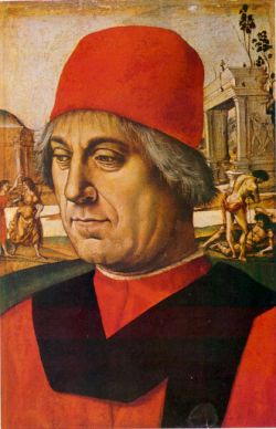 Renaissance Lawyer