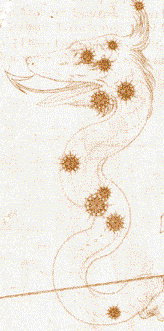 Serpentarius