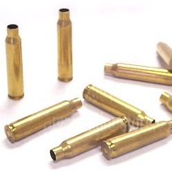 .223 Caliber Shells