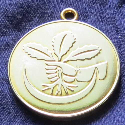 25th Mansion Talisman