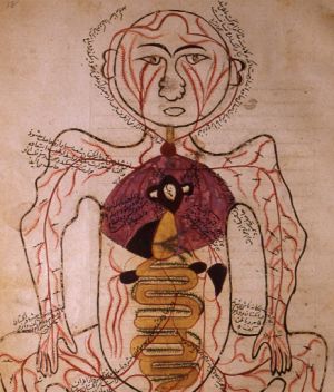 Islamic Anatomical