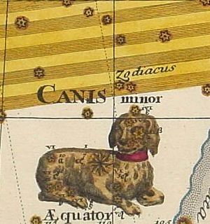 Constellation Canis Minor and Star Procyon