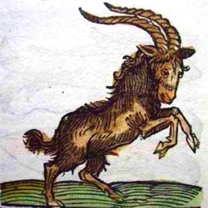 Capricorn