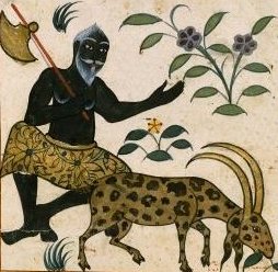 Arabic Image of Capricorn