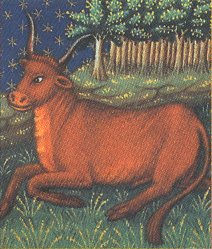 Taurus, the Bull