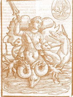 Renaissance Image