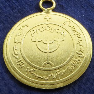 Procyon Talisman Back