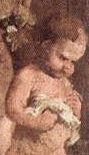 Renaissance Putti