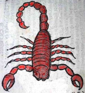 Image of Medieval Scorpion
